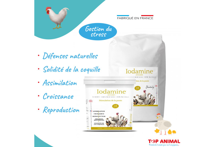 IODAMINE VOLAILLE - BIODALG